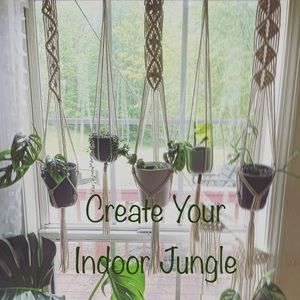 Create Your Indoor Jungle